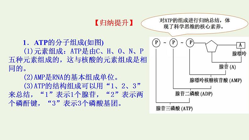 2021_2022学年新教材高中生物第3章细胞中能量的转换和利用课件打包6套苏教版必修108