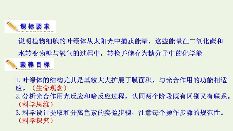 2021_2022学年新教材高中生物第3章细胞中能量的转换和利用课件打包6套苏教版必修103