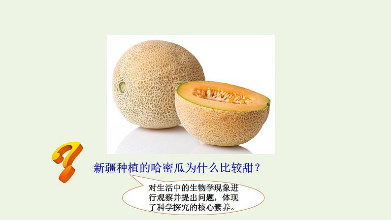 2021_2022学年新教材高中生物第3章细胞中能量的转换和利用课件打包6套苏教版必修103