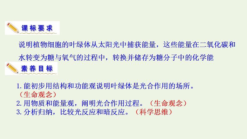 2021_2022学年新教材高中生物第3章细胞中能量的转换和利用课件打包6套苏教版必修104