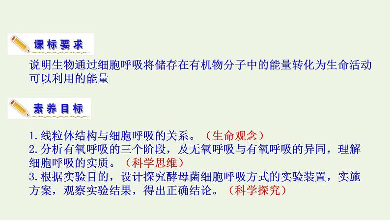 2021_2022学年新教材高中生物第3章细胞中能量的转换和利用课件打包6套苏教版必修104