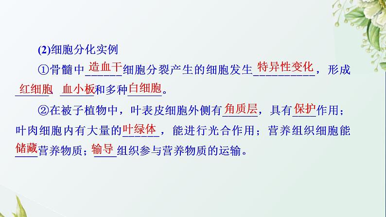 2021_2022学年新教材高中生物第4章细胞增殖分化衰老和死亡课件打包3套苏教版必修106