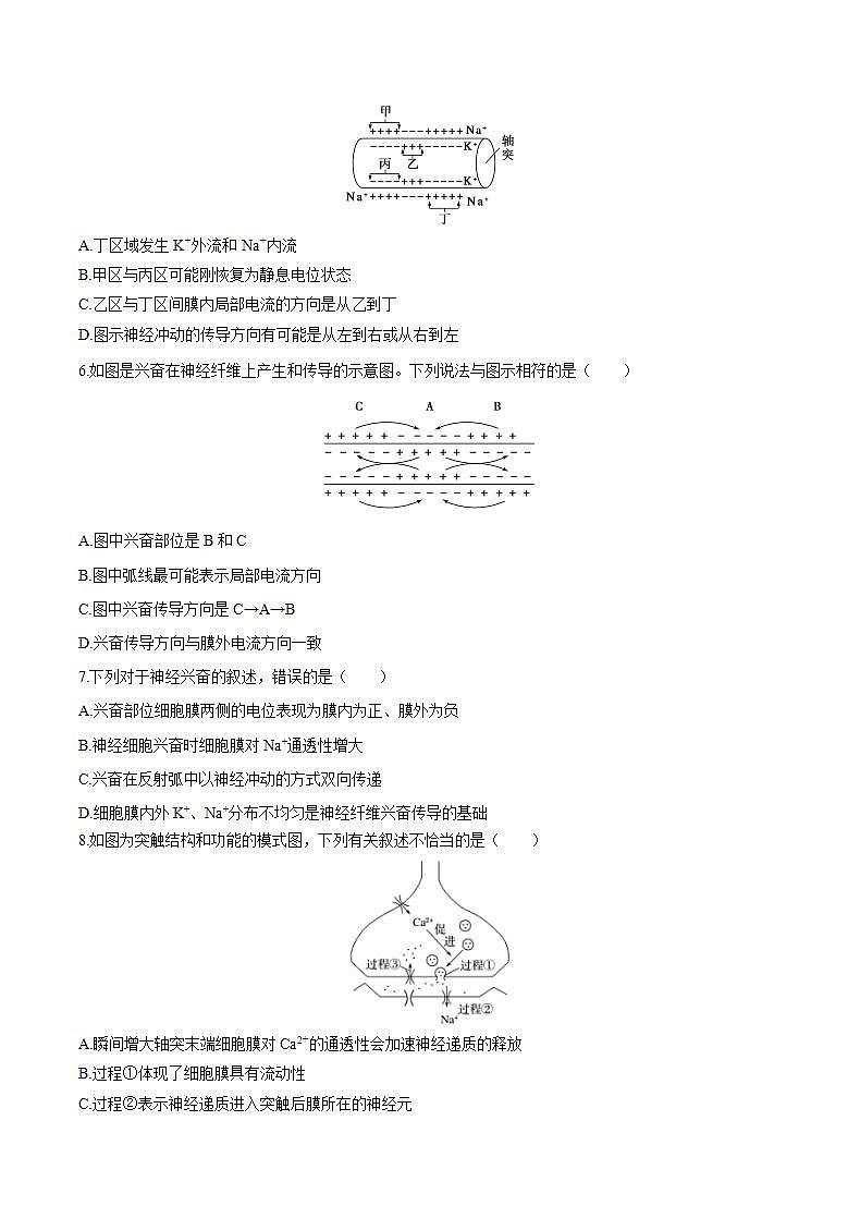 人教版（新课标） 高中生物必修3  2.1 通过神经系统的调节课后作业（3）02