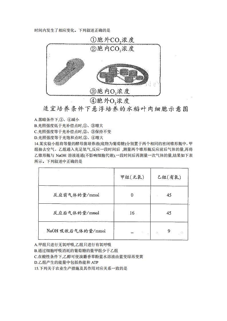 2022届河南省中原名校高三上学期第一次联考生物试题（PDF版）03