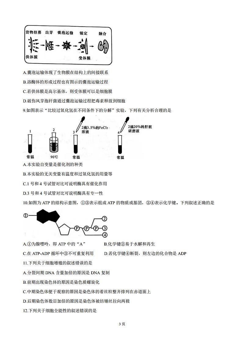 2022届陕西省咸阳市武功县高三上学期第一次质量检测 生物（PDF版）第3页