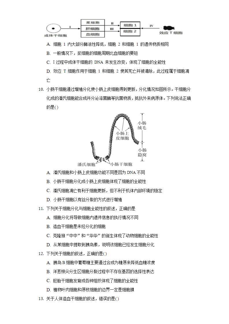 5.2细胞的分化 同步练习  北师大版（2019）高中生物必修一03