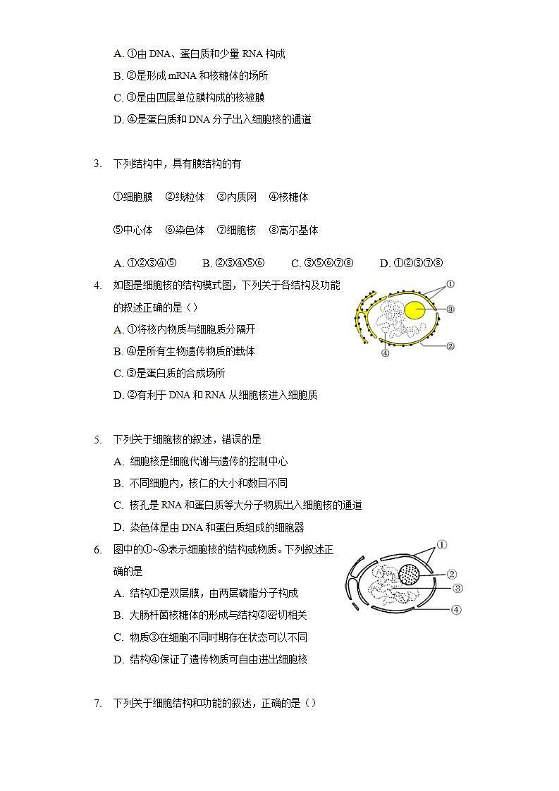 2.4细胞核是细胞生命活动的控制中心  同步练习浙科版 (2019)高中生物必修一02