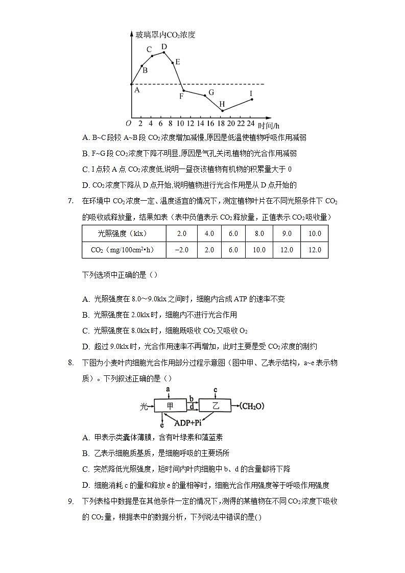 3.5光合作用将光能转化为化学能  同步练习浙科版 (2019)高中生物必修一03