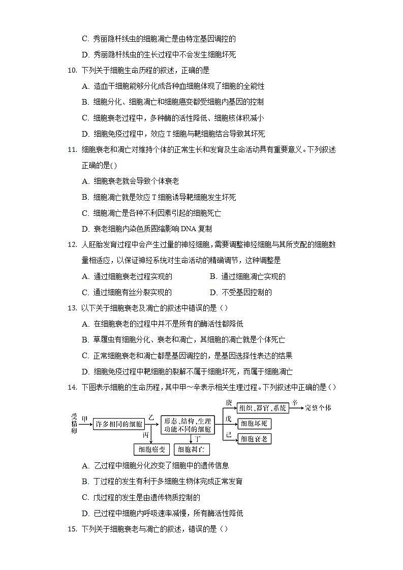4.3细胞凋亡是编程性死亡  同步练习浙科版 (2019)高中生物必修一03