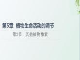 新教材高中生物第5章植物生命活动的调节第2节其他植物激素课件新人教版选择性必修1