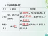 新教材高中生物第5章植物生命活动的调节第2节其他植物激素课件新人教版选择性必修1