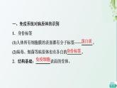 新教材高中生物第4章免疫调节第2节特异性免疫课件新人教版选择性必修1