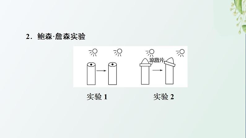 新教材高中生物第5章植物生命活动的调节第1节植物生长素课件新人教版选择性必修107