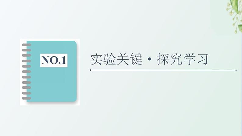 新教材高中生物第5章植物生命活动的调节探究实践探索植物生长调节剂的应用课件新人教版选择性必修102