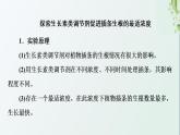 新教材高中生物第5章植物生命活动的调节探究实践探索植物生长调节剂的应用课件新人教版选择性必修1
