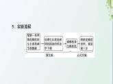 新教材高中生物第5章植物生命活动的调节探究实践探索植物生长调节剂的应用课件新人教版选择性必修1