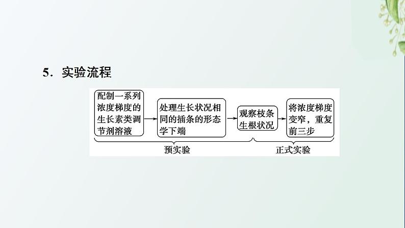 新教材高中生物第5章植物生命活动的调节探究实践探索植物生长调节剂的应用课件新人教版选择性必修105