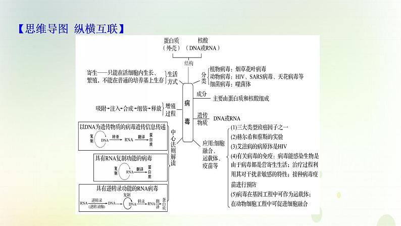 江苏专版2021届高考生物二轮复习核心素养串讲课3社会责任之簿课件第2页