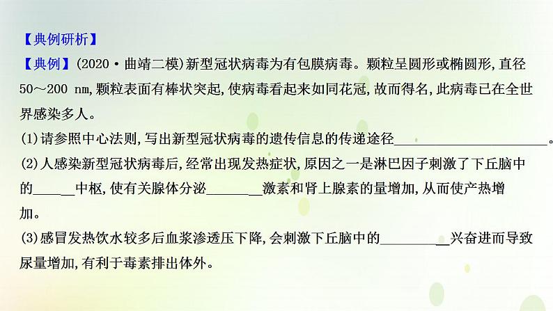 江苏专版2021届高考生物二轮复习核心素养串讲课3社会责任之簿课件第4页