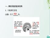 新教材高中生物第2章神经调节第1节神经调节的结构课件新人教版选择性必修1课件PPT