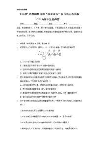 高中浙科版 (2019)第一节 ATP是细胞内的“能量通货”课后作业题