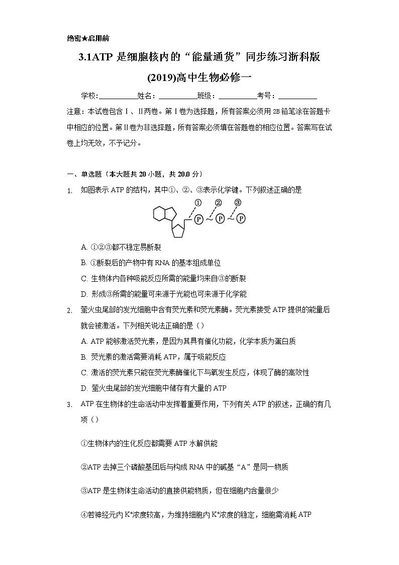 3.1ATP是细胞核内的“能量通货”  同步练习浙科版 (2019)高中生物必修一01
