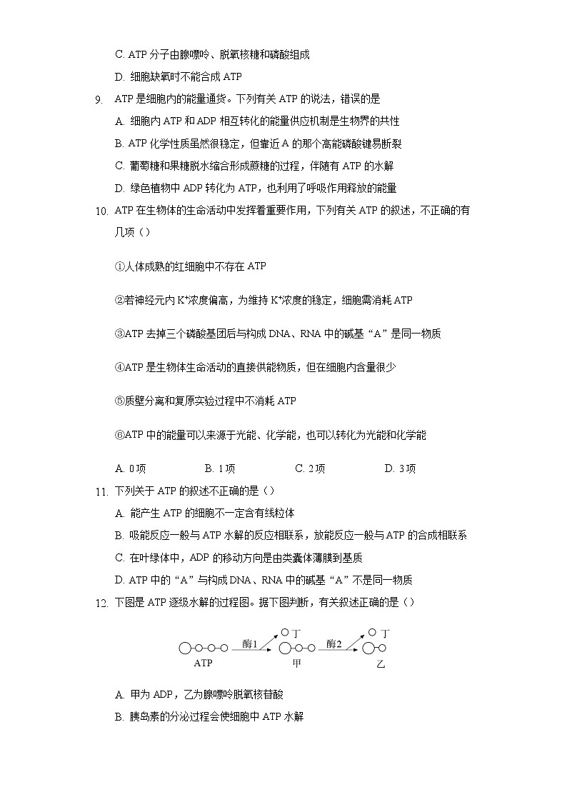 3.1ATP是细胞核内的“能量通货”  同步练习浙科版 (2019)高中生物必修一03