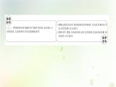 新教材高中生物第4章免疫调节第3节免疫失调课件新人教版选择性必修第一册