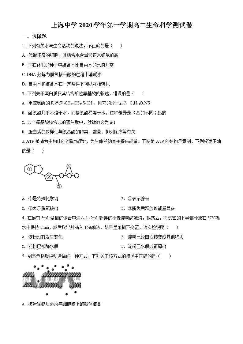 上海市上海中学2020-2021学年高二10月月考生物试题（练习版）无答案第1页