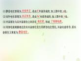 新教材高中生物第2章神经调节第3节神经冲动的产生和传导课件新人教版选择性必修第一册
