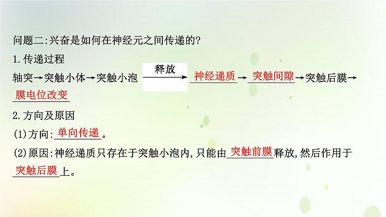 新教材高中生物第2章神经调节第3节神经冲动的产生和传导课件新人教版选择性必修第一册第5页