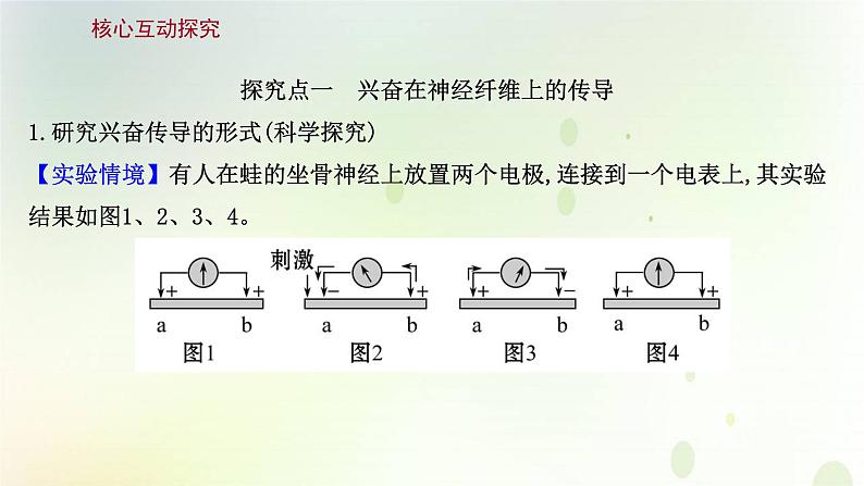 新教材高中生物第2章神经调节第3节神经冲动的产生和传导课件新人教版选择性必修第一册第8页