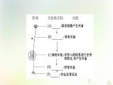 新教材高中生物第2章神经调节第2节神经调节的基本方式课件新人教版选择性必修第一册