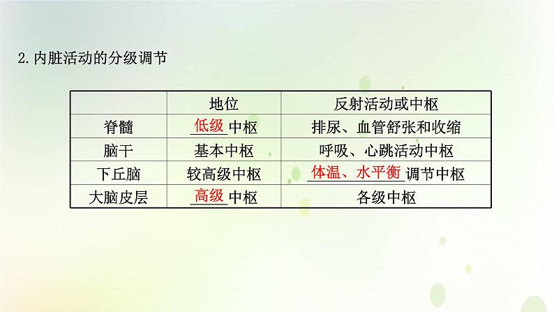 新教材高中生物第2章神经调节第4节神经系统的分级调节课件新人教版选择性必修第一册06