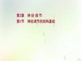 新教材高中生物第2章神经调节第1节神经调节的结构课件新人教版选择性必修第一册课件PPT
