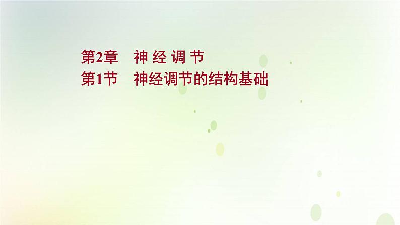 新教材高中生物第2章神经调节第1节神经调节的结构课件新人教版选择性必修第一册课件PPT第1页