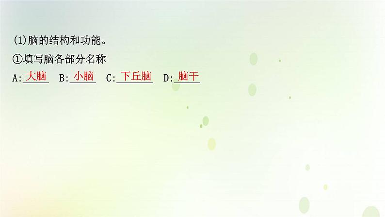 新教材高中生物第2章神经调节第1节神经调节的结构课件新人教版选择性必修第一册课件PPT第8页