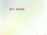 新教材高中生物第4章免疫调节第2节特异性免疫课件新人教版选择性必修第一册