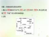 新教材高中生物第4章免疫调节第2节特异性免疫课件新人教版选择性必修第一册