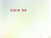 新教材高中生物第5章植物生命活动的调节单元复习课课件新人教版选择性必修第一册