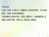 新教材高中生物第5章植物生命活动的调节单元复习课课件新人教版选择性必修第一册