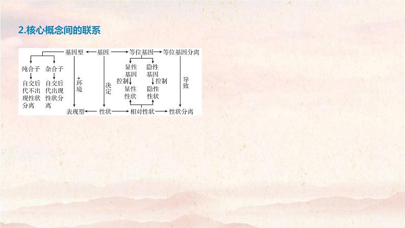 艺体生专用2021届高考生物二轮复习专题五遗传的基本规律课件第6页