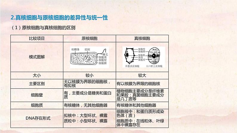 艺体生专用2021届高考生物二轮复习专题一组成细胞的分子课件第6页