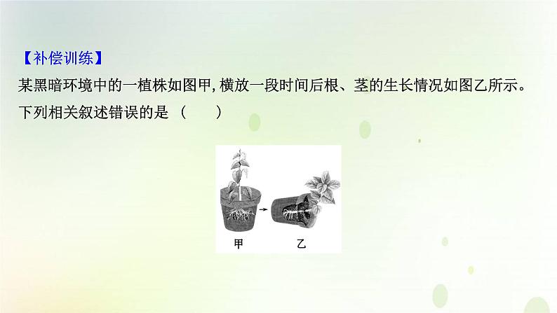 新教材高中生物第5章植物生命活动的调节第4节环境因素参与调节植物的生命活动课时检测课件新人教版选择性必修第一册05