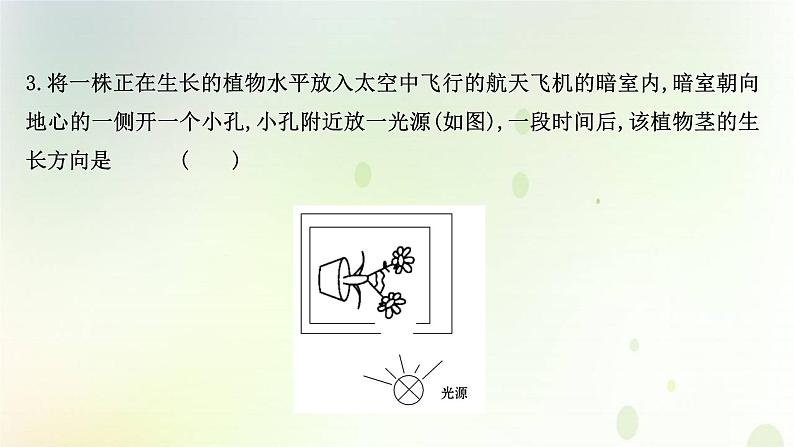 新教材高中生物第5章植物生命活动的调节第4节环境因素参与调节植物的生命活动课时检测课件新人教版选择性必修第一册08