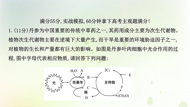 江苏专版2021届高考生物二轮复习非选择题专项练五课件第2页