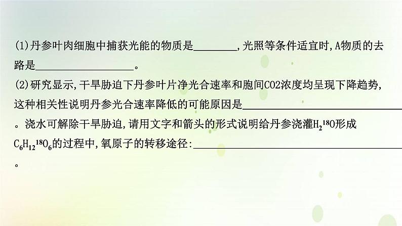 江苏专版2021届高考生物二轮复习非选择题专项练五课件第3页