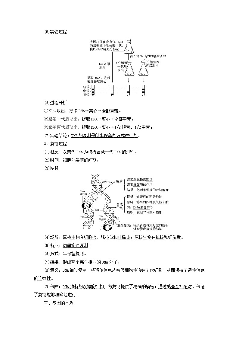 2022版高考生物一轮复习第6单元基因的本质和表达第17课DNA的结构复制和基因的本质学案新人教版第3页