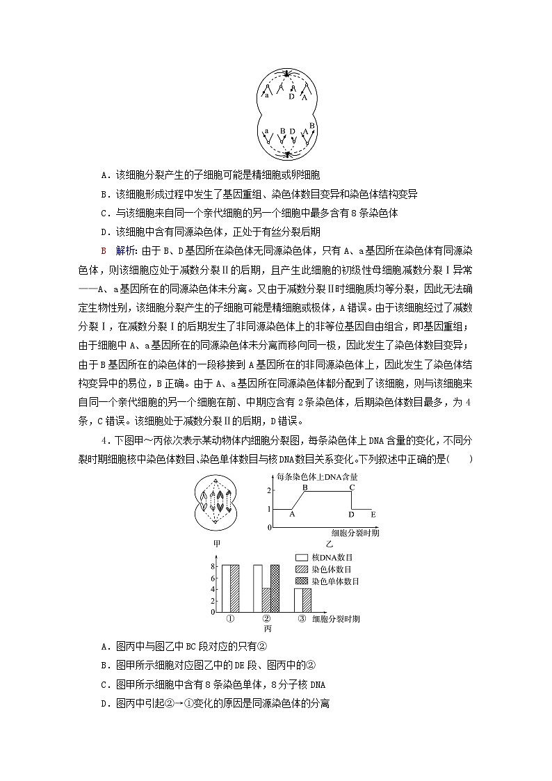 2022版高考生物一轮复习第7单元生物的变异育种与进化大概念升华课必修概念3学案新人教版03