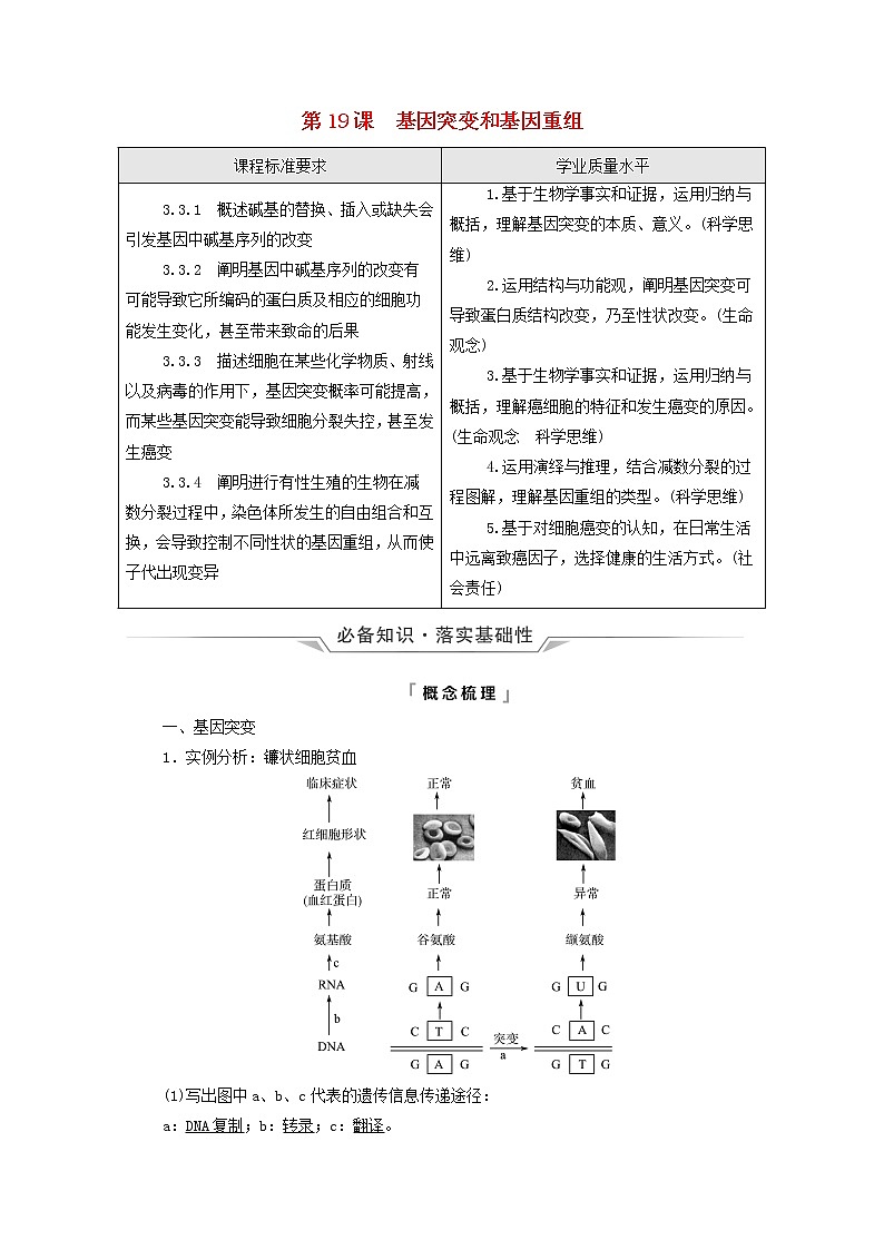 2022版高考生物一轮复习第7单元生物的变异育种与进化第19课基因突变和基因重组学案新人教版01